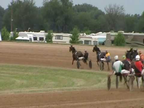 Live Harness Racing in Hastings (7/18/10) Barry County Fair Harness Racing
