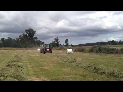 Mf5460,McHale Fusion 2,Chile