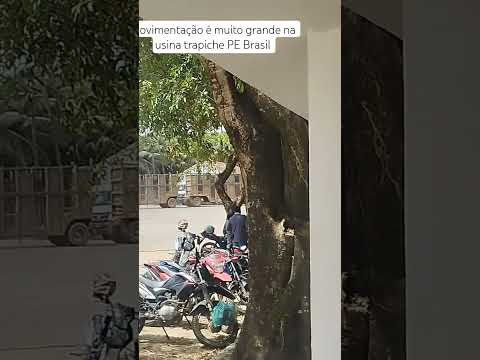 fábrica 🏭🏭 de açúcar em Sirinhaém Pernambuco aqui é AGRO Brasil