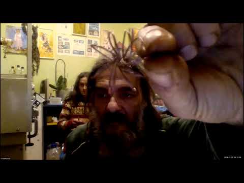 2018 12 22 PM Public Teaching in French - Enseignements publics en français