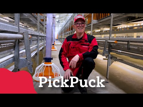 , title : 'PickPuck i hønsehuset'