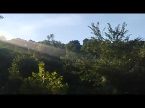 Metal Gear Survive weekly Daily Challenges 1.14.26