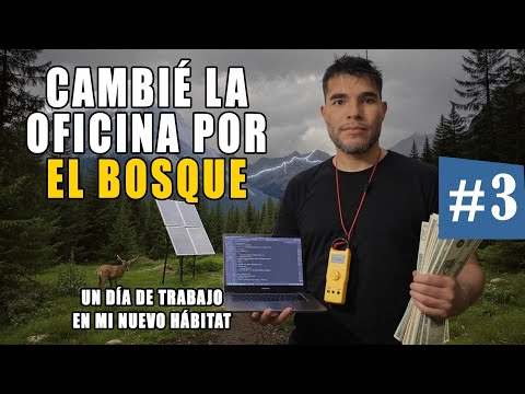 De Programador a Ermitaño