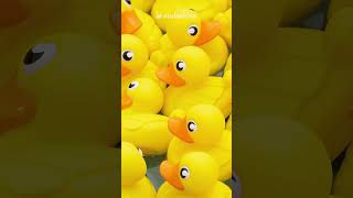 What Happens to Cruising Ducks That Aren’t Found? #cruise #cruises #cruisenews #travelnews