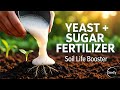 Add This To Your Soil And Watch Plants Grow Like Crazy Yeast Sugar Fertilizer Science Backed