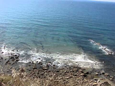 FRUSSURF.com BARRIKA Lunes 16 de Agosto 2010