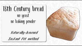 Yeast-free Salt Rising bread - naturally leavened - Instant Pot method