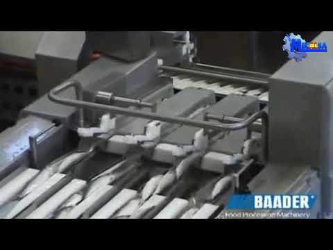 ABASTECEDOR AUTOMÁTICO PARA ARENQUE,SARDINA, BAADER modelo: 488