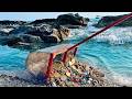 30 Days of Beach Cleaning Hidden Treasures Under the Waves