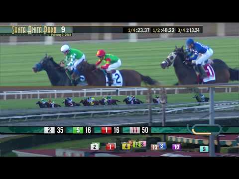 San Marcos Stakes (Grade II) - February 9, 2019
