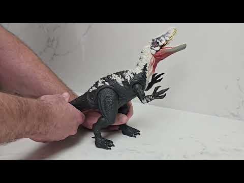 User submitted video