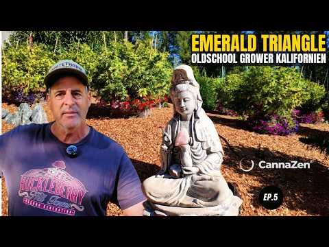 USA Weedland Craft Cannabis: Qualität statt Masse