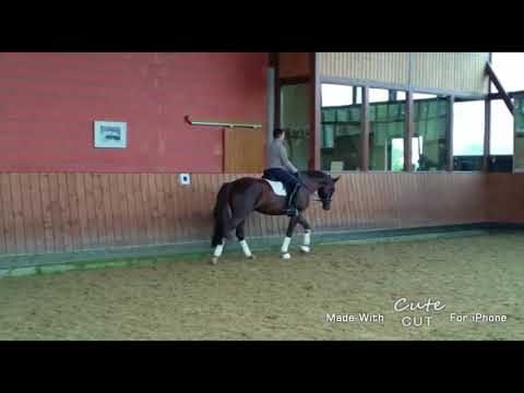 Franziskus x French Kiss