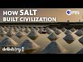 Why Salt Is The Most Important Ingredient In History Delishtory