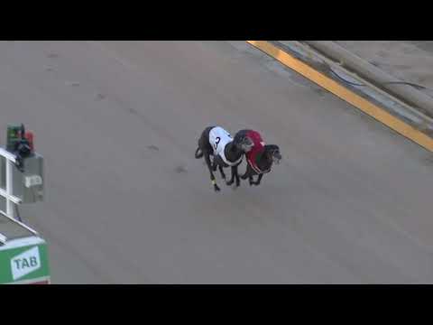 2022 SHEPPARTON CUP NIGHT MATCH RACE