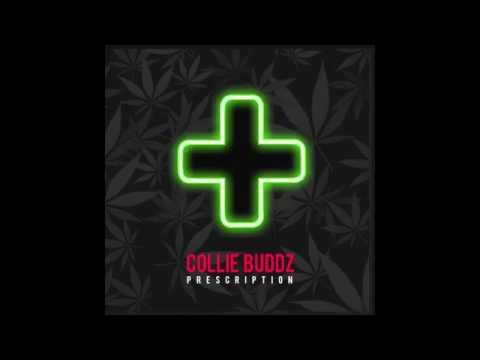 Collie Buddz – "Prescription" (Official Audio)