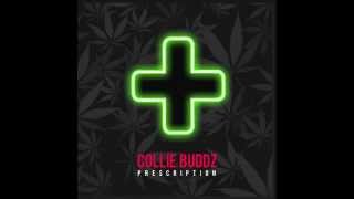 Collie Buddz – "Prescription"