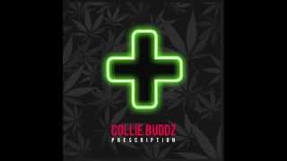 Download lagu Collie Buddz – 'Prescription' mp3 Download lagu Collie Buddz – 'Prescription' mp3