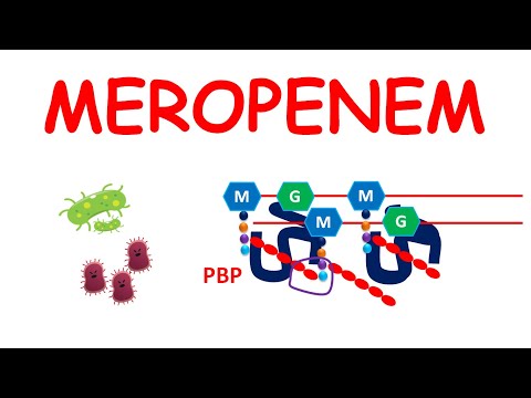Meropenem Sulbactam Injection