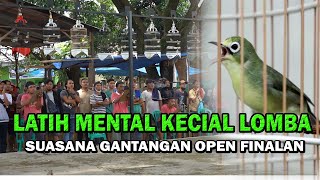 Download lagu SUASANA OPEN FINALAN AUDIO MELATIH MENTAL KECIAL BAKALAN mp3 Download lagu SUASANA OPEN FINALAN AUDIO MELATIH MENTAL KECIAL BAKALAN mp3