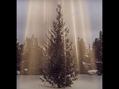 Video thumbnail for 🎄🎄🎄 CHOINKA 🎄🎄🎄