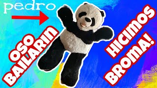 broma con oso gigante //oso bailador!!