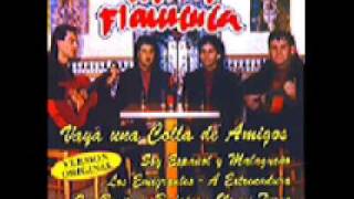 Alma Flamenca - Vaya una colla de amigos