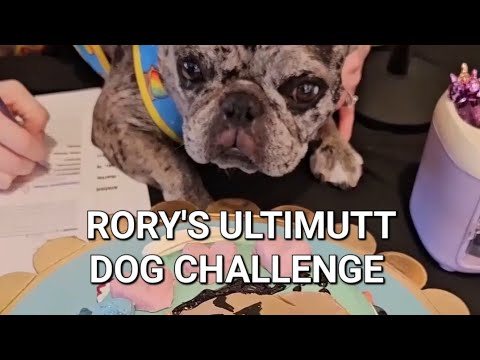 Rory's UltiMutt Dog Challenge: The Great Barkish Bakeoff