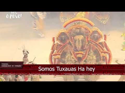 Boi Garantido  Demo 2020 | Tuxauas, Guerreiros do Coração