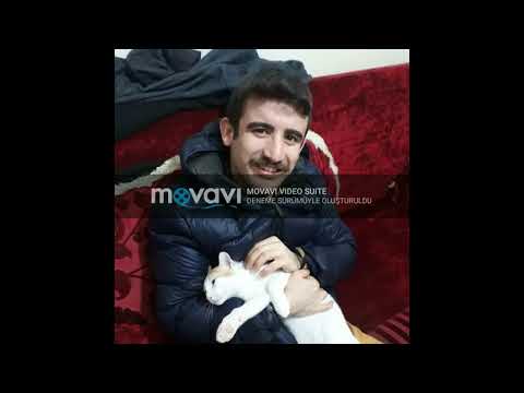 seviyorum nekadar anla remix