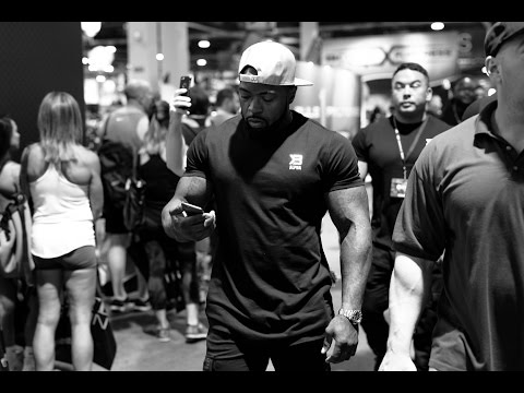 download lagu mp3 mp4 The Ambrosia, download lagu The Ambrosia gratis, unduh video klip The Ambrosia