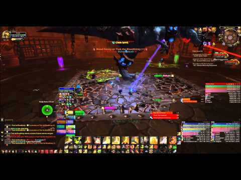 Thok the Bloodthirsty : Holy Pally PoV