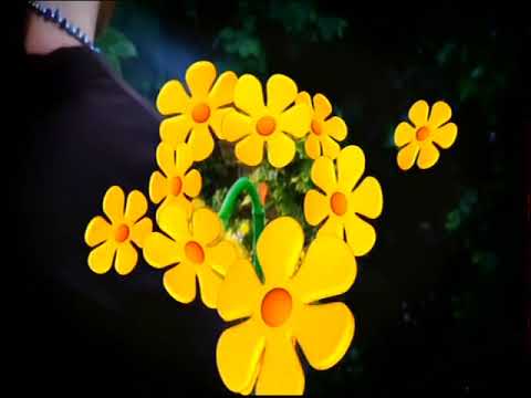 2005 TV Ad for Crazy Daisy