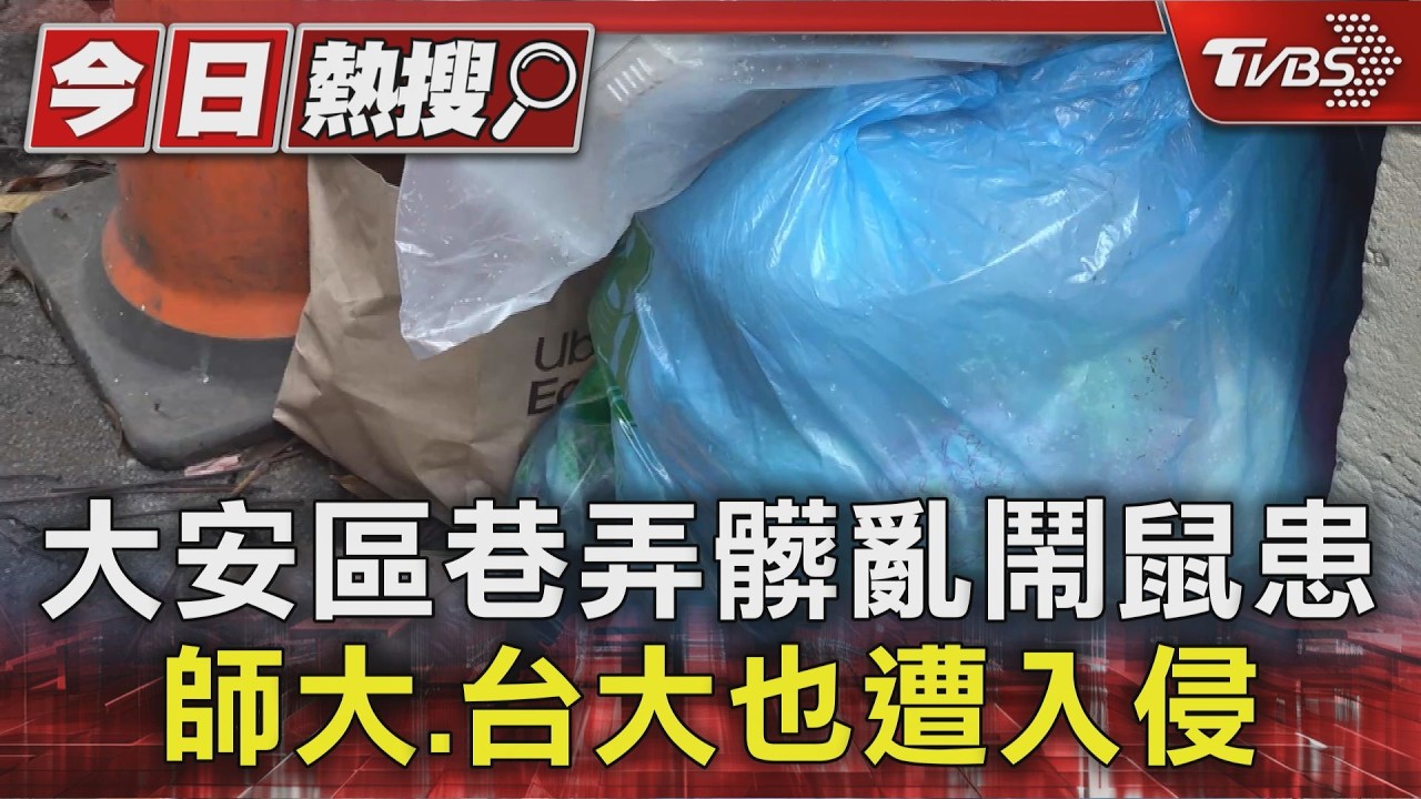 北市大安區爆鼠患!台大師大遭入侵 市府討「捕鼠績效」惹怨基層