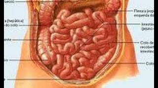 Remedio para el estreñimiento y la colitis. Inflamación del intestino. Colon irritable