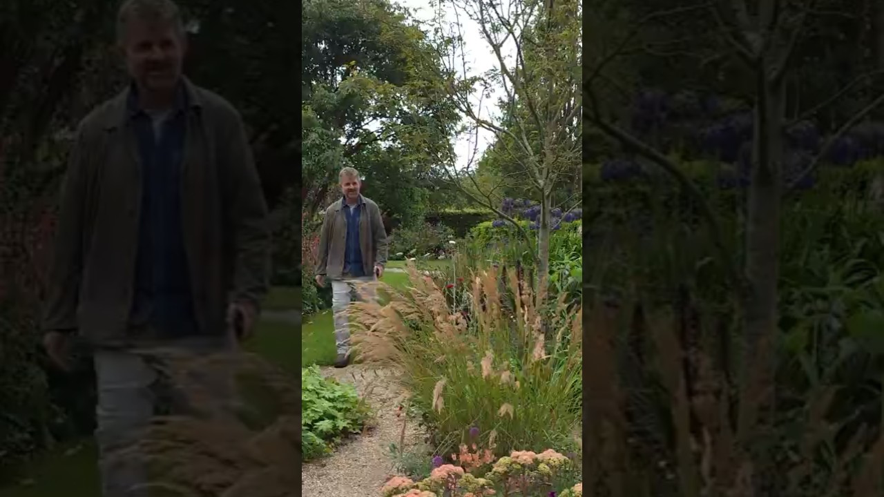 Ornamental Grass Placement Secrets Revealed!