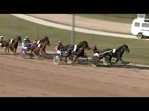 2021.10.16. 02. futam - ÁRVERÉSI LOVAK VERSENYE