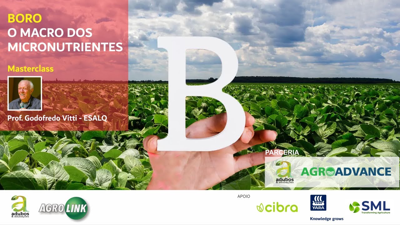 # 226 - BORO - MACRO DOS MICRONUTRIENTES - MASTERCLASS PROF. VITTI / AGROADVANCE