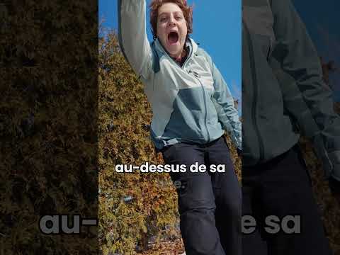 Prévenir les morsures de chiens