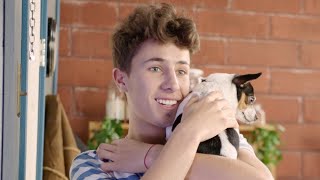 What Have I Done?! | Juanpa Zurita