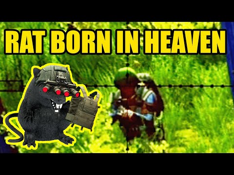 A Rat Born in Heaven || Escape from Tarkov (Customs Ratting)