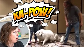 DON'T EVER Do This To Your Dog - Why "Bonking" Your Dog Is Dangerous