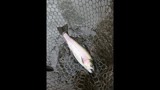 初めてでもわかる管釣りの釣り具選び