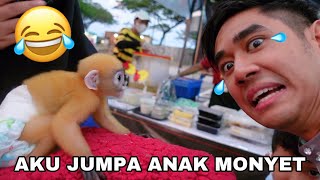Download lagu AKU JUMPA ANAK MONYET ππ΅ mp3 Download lagu AKU JUMPA ANAK MONYET ππ΅ mp3
