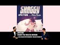 Picture - Shaggy feat Melissa Musique (Official Audio)  | 15p Lyrics/Letra