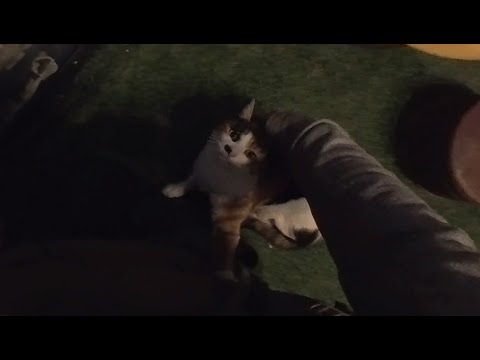 친해지니까 조금씩 다른 모습을 보여준다