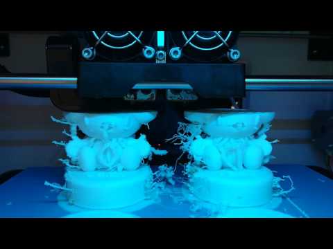 人間生活科学科 ３Ｄプリンタ