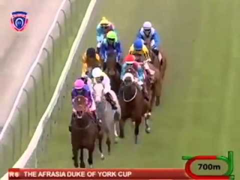 ONE COOL DUDE - GOLD CUP 2015.