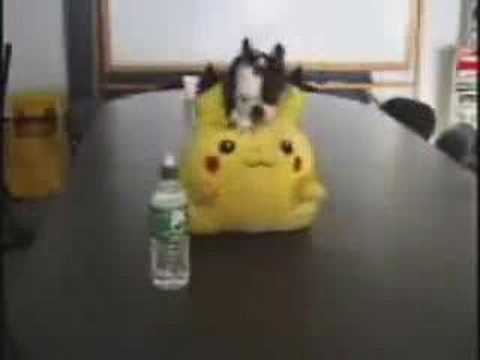 Pikachut megdugják