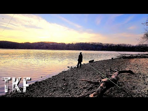 Simple Guide To Find Catfish Bank Fishing Spots